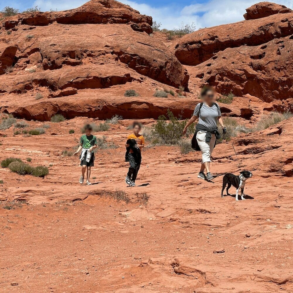 Dog friendly hikes near capitol reef best sale